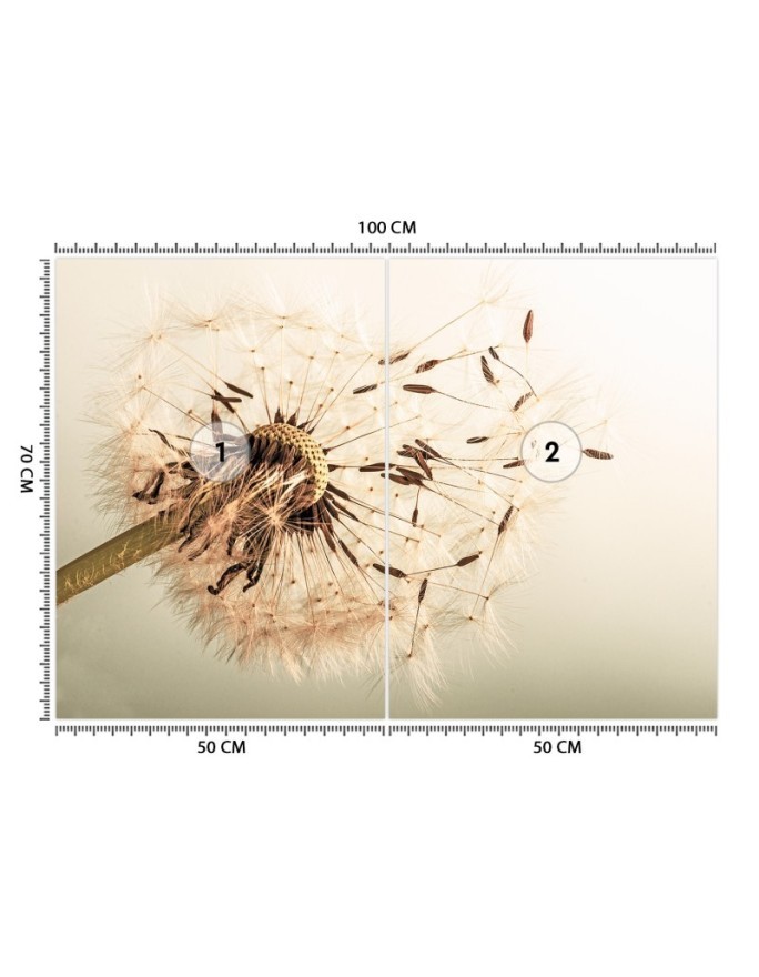 Oryginalne fototapety - Dmuchawiec makro | FEEBY