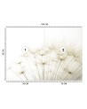 Fototapeta na ścianę - Dmuchawce rośliny natura | FEEBY