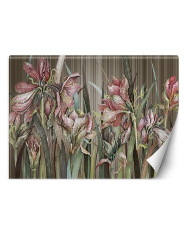 Unique Wallpapers - Amaryllis flowers | FEEBY