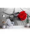 Wallpaper - Red rose on a bridge | FEEBY