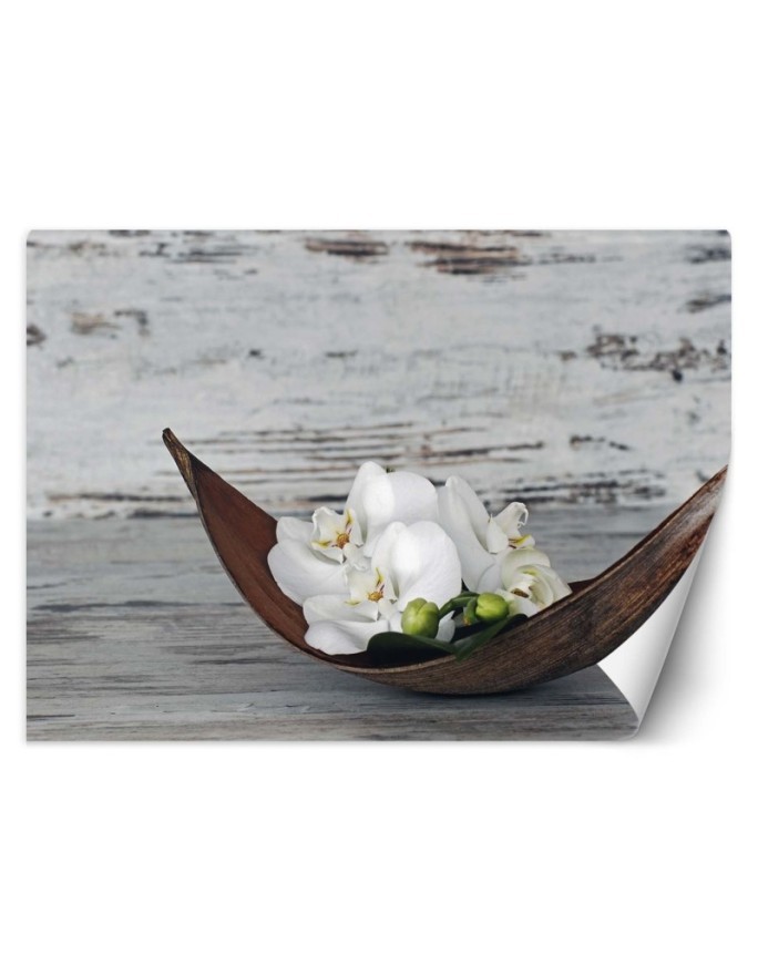 Stylowe fototapety - Orchidea zen spa | FEEBY