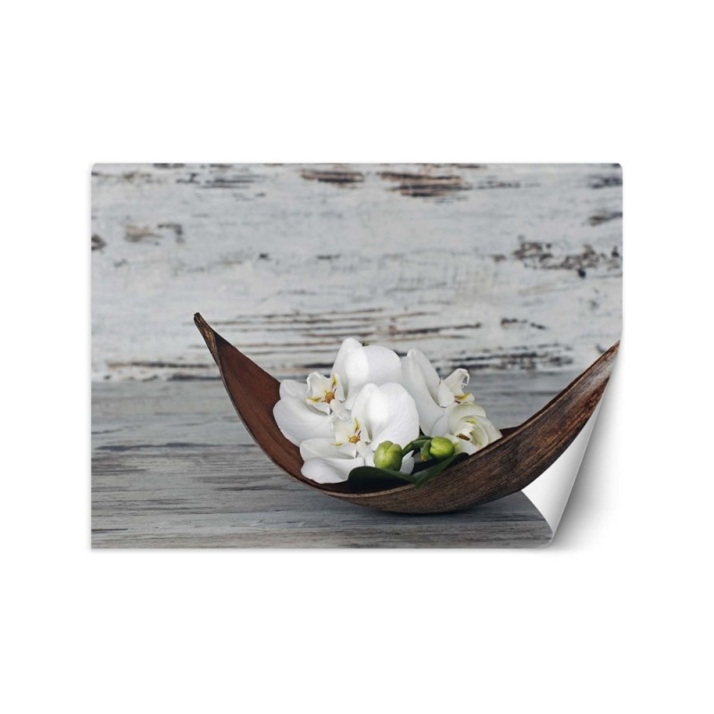 Stylowe fototapety - Orchidea zen spa | FEEBY