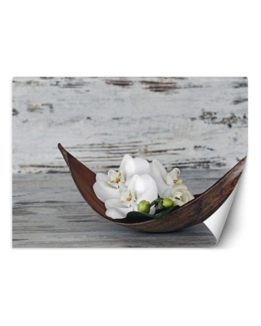 Stylowe fototapety - Orchidea zen spa | FEEBY