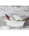 Stylowe fototapety - Orchidea zen spa | FEEBY