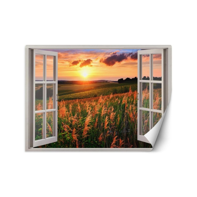 The most fashionable wall murals - Window overlooking a meadow sunset | FEEBY