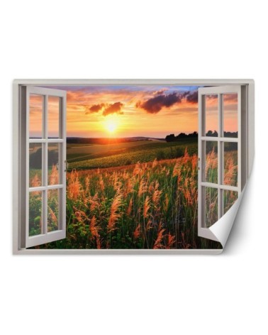 The most fashionable wall murals - Window overlooking a meadow sunset | FEEBY
