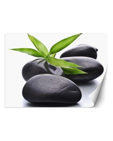 Spa living room wall mural - Stones zen leaf | FEEBY