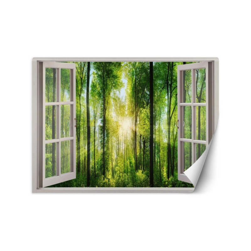 The trendiest Wallpapers - Window view sunshine | FEEBY