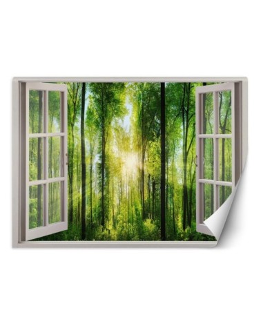 The trendiest Wallpapers - Window view sunshine | FEEBY