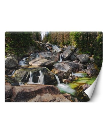 Piękne fototapety na ścianę - Górski potok natura | FEEBY