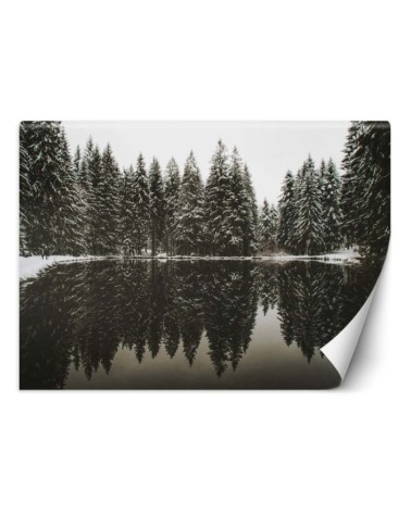 Photo Wallpaper - Lake forest winter nature | FEEBY