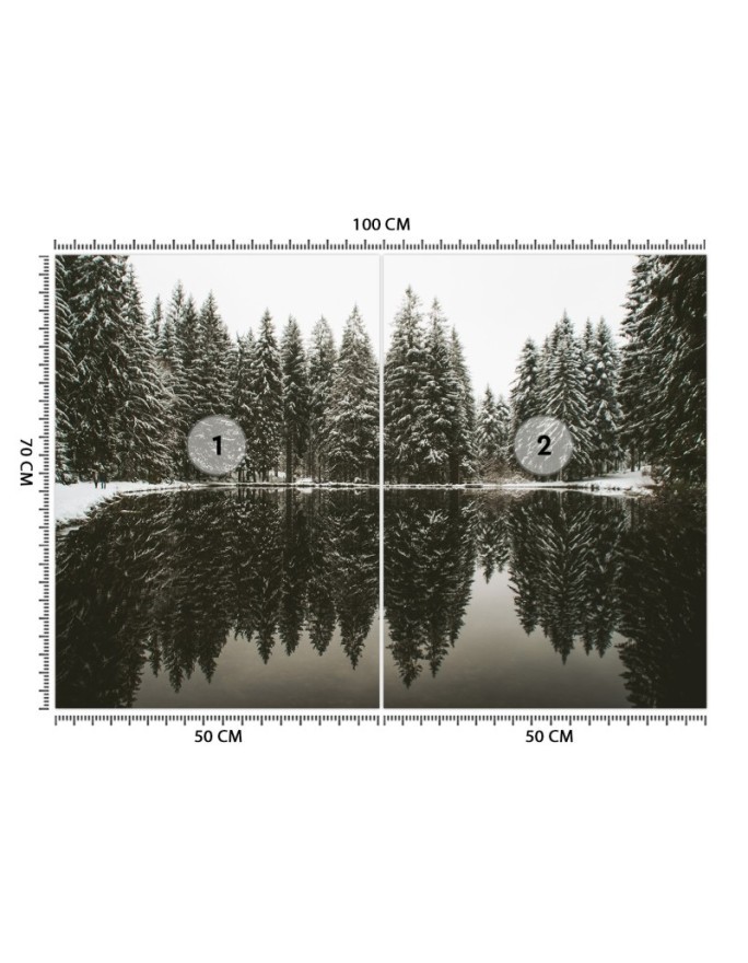 Fototapeta ze zdjęcia - Jezioro las zima natura | FEEBY