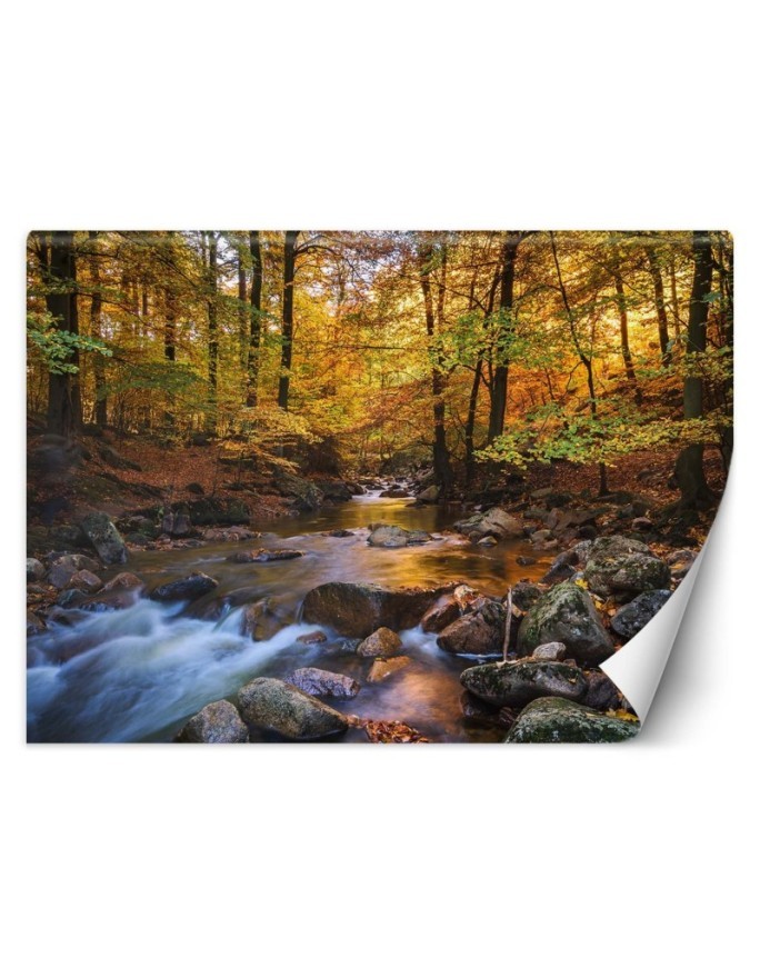 Fototapeta ze zdjęcia na ścianę - Potok górski w lesie | FEEBY
