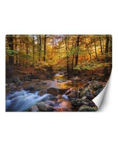 Wallpaper - Mountain stream in a forest | FEEBY