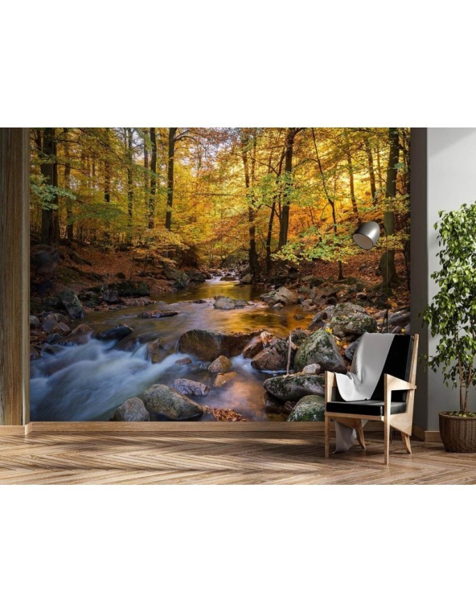 Fototapeta ze zdjęcia na ścianę - Potok górski w lesie | FEEBY