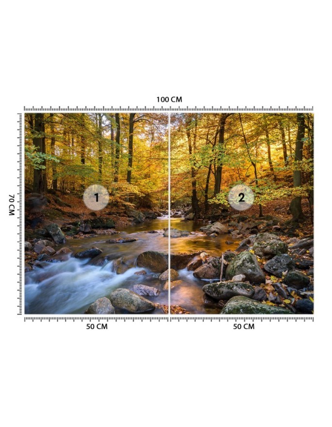 Fototapeta ze zdjęcia na ścianę - Potok górski w lesie | FEEBY