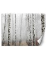Modern Wallpaper - Birch forest in the fog | FEEBY
