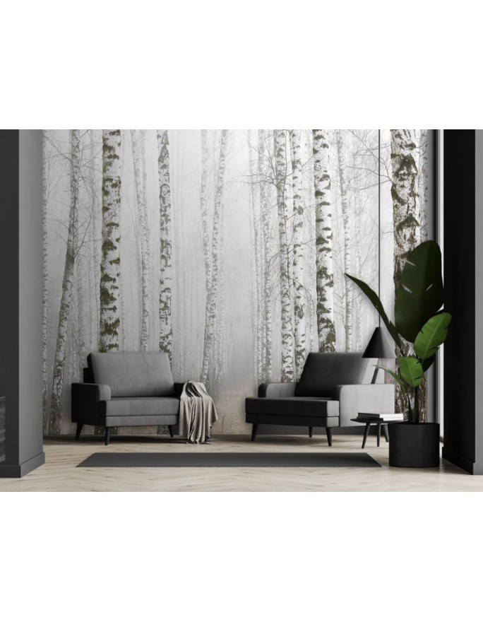 Modern Wallpaper - Birch forest in the fog | FEEBY