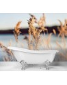 Najmodniejsze fototapety - Trawa pampasowa na tle jeziora | FEEBY