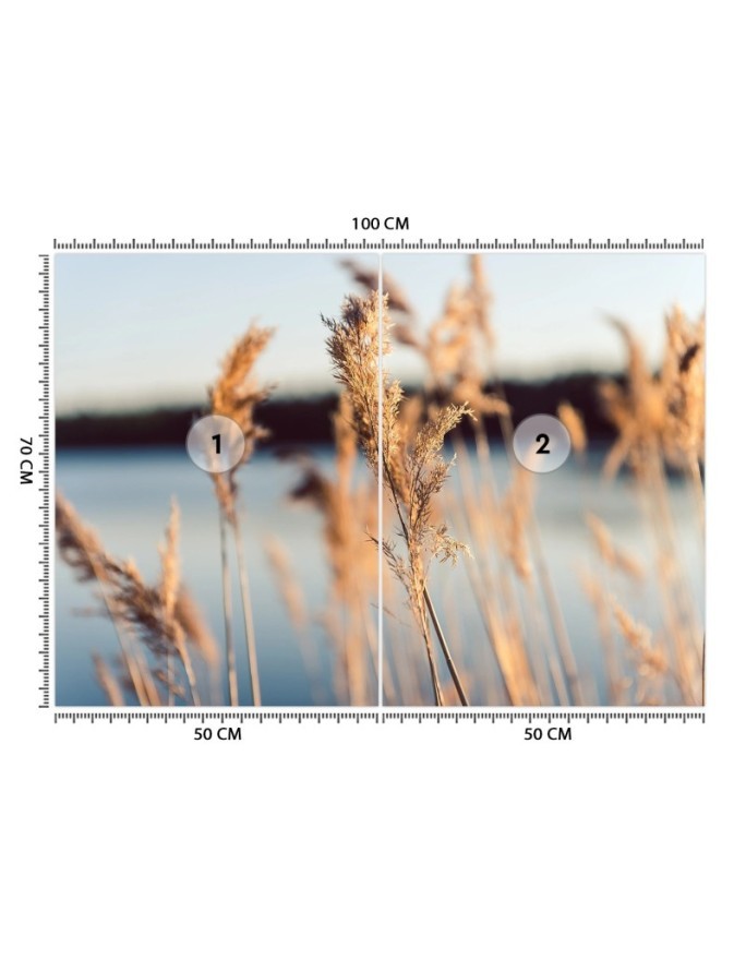 Najmodniejsze fototapety - Trawa pampasowa na tle jeziora | FEEBY