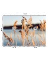 Najmodniejsze fototapety - Trawa pampasowa na tle jeziora | FEEBY