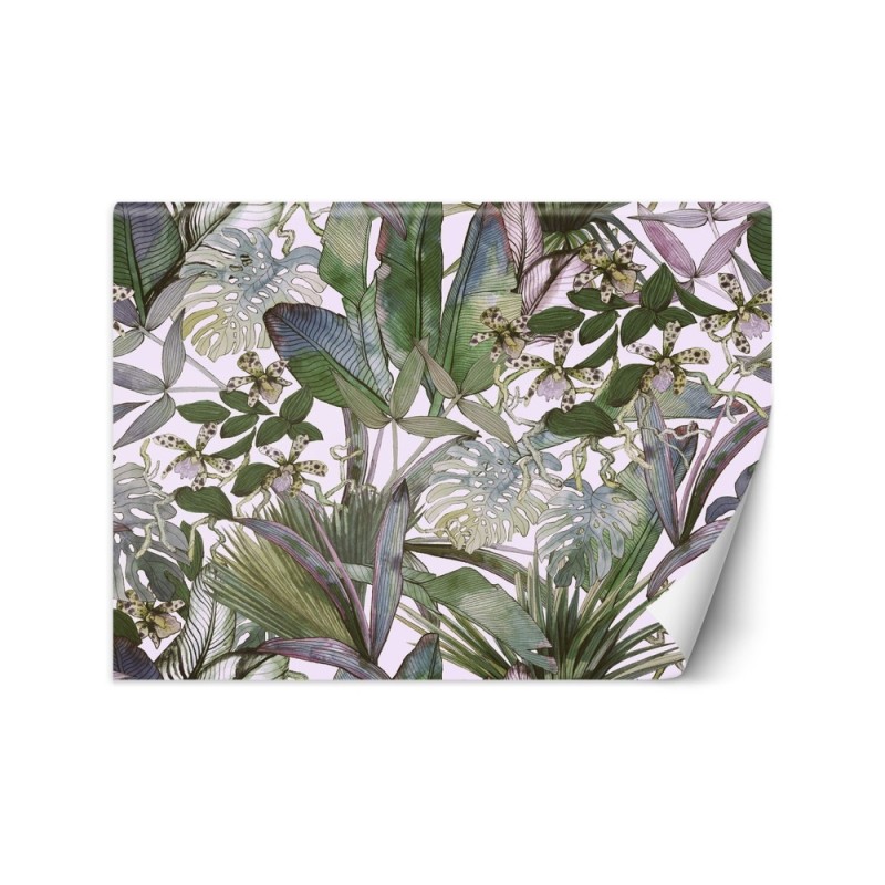 Egzotyczne fototapety - Monstera i tropikalne liście w pastelach | FEEBY