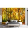 The most beautiful Wallpapers - Autumn forest | FEEBY