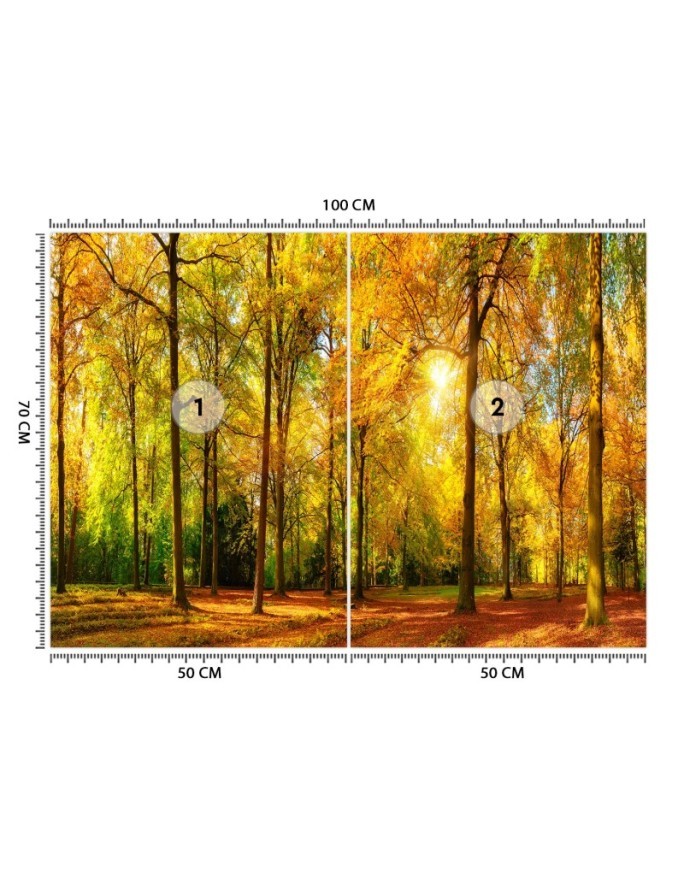 Najpiękniejsze fototapety - Jesienny las | FEEBY