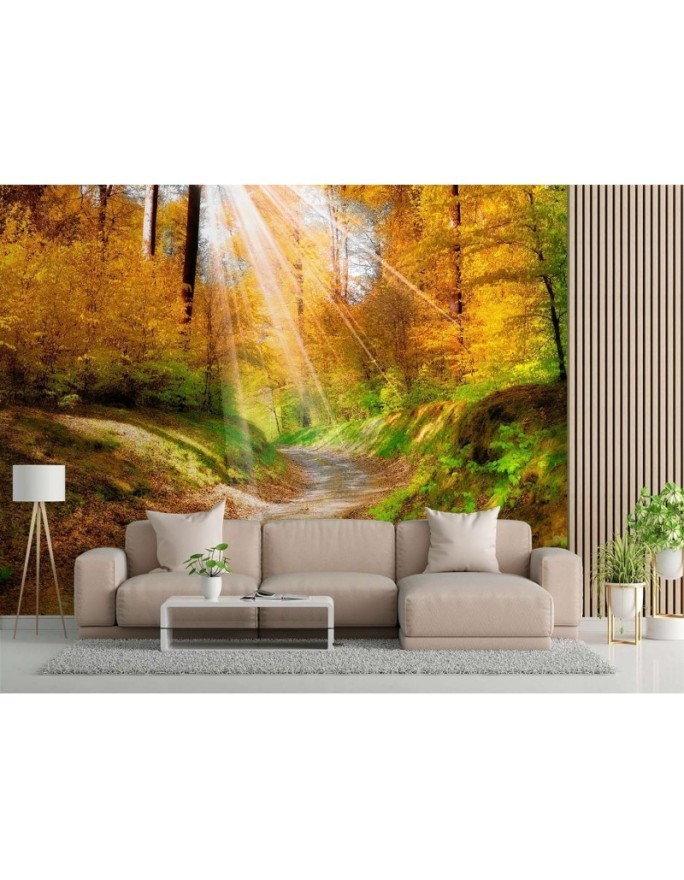 Fototapeta na ścianę - Ścieżka w lesie | FEEBY
