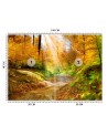 Fototapeta na ścianę - Ścieżka w lesie | FEEBY