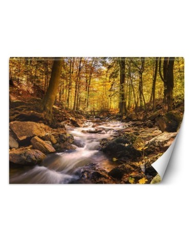 Fleece Wallpapers - Forest stream in autumn | FEEBY