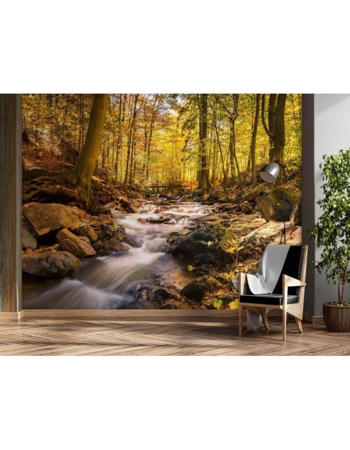 Fototapety flizelinowe na ścianę - Leśny potok jesienią | FEEBY