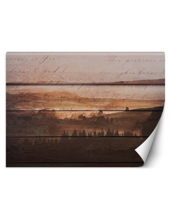 Designerskie fototapety - Las deski vintage | FEEBY