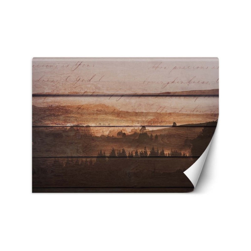 Designerskie fototapety - Las deski vintage | FEEBY