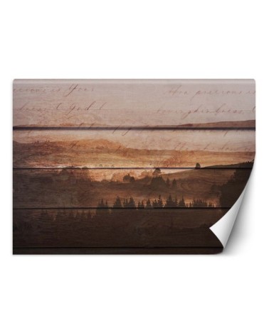 Designerskie fototapety - Las deski vintage | FEEBY