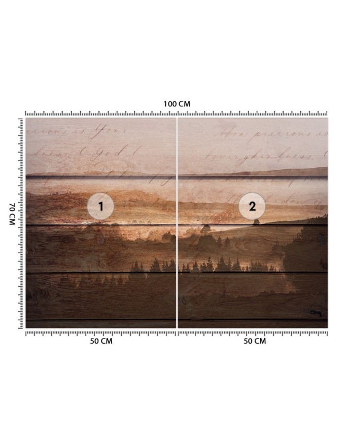 Designerskie fototapety - Las deski vintage | FEEBY