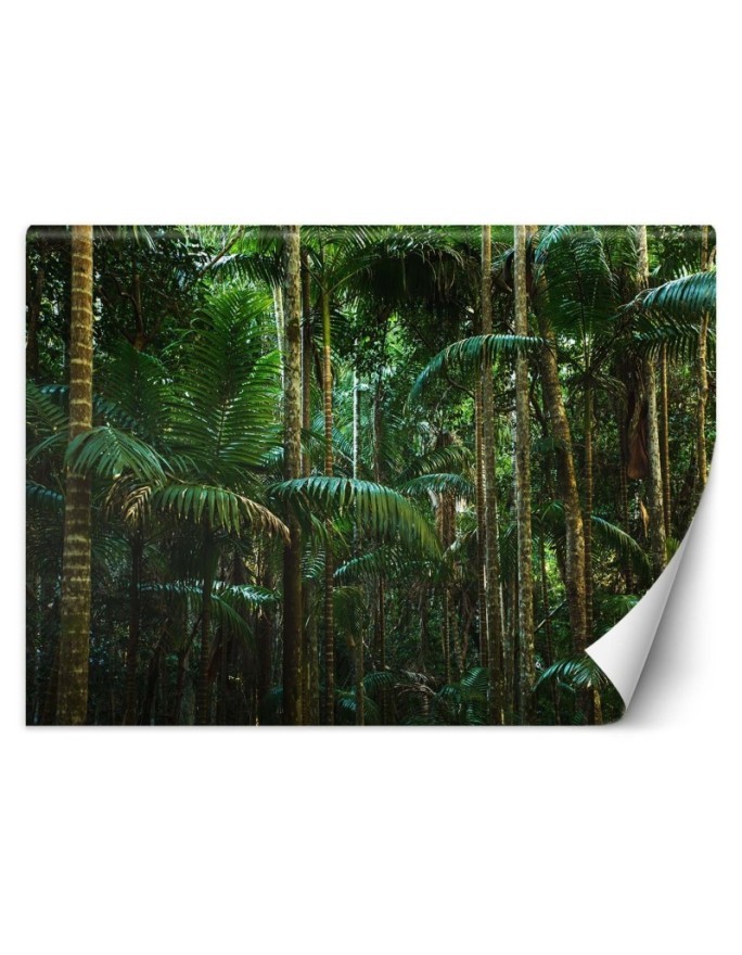 Nowoczesna fototapeta - Las tropikalny natura | FEEBY