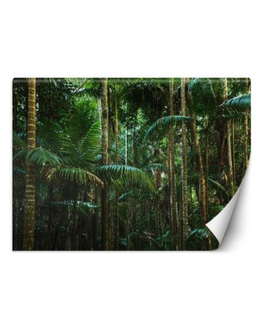 Modern Wallpaper - Tropical forest nature | FEEBY