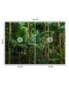 Modern Wallpaper - Tropical forest nature | FEEBY
