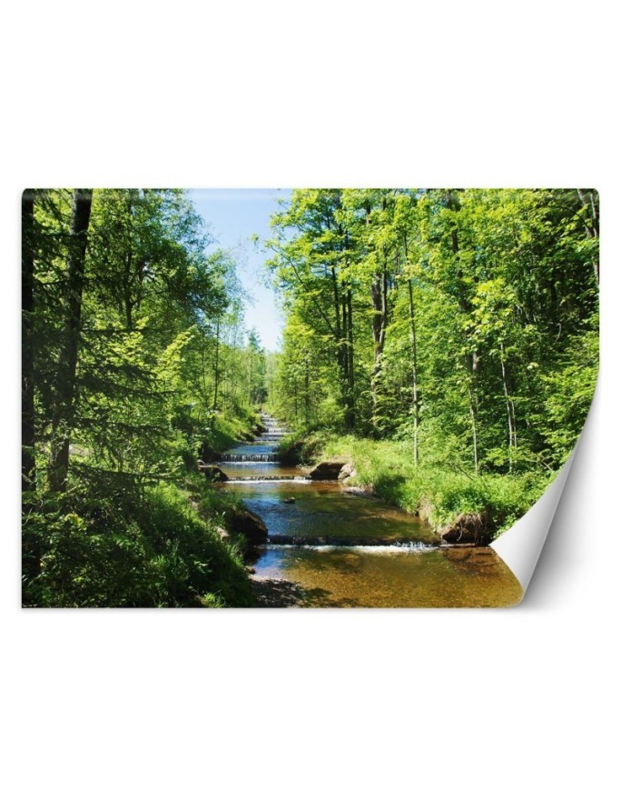 Inspirujące fototapety - Górski potok las natura | FEEBY