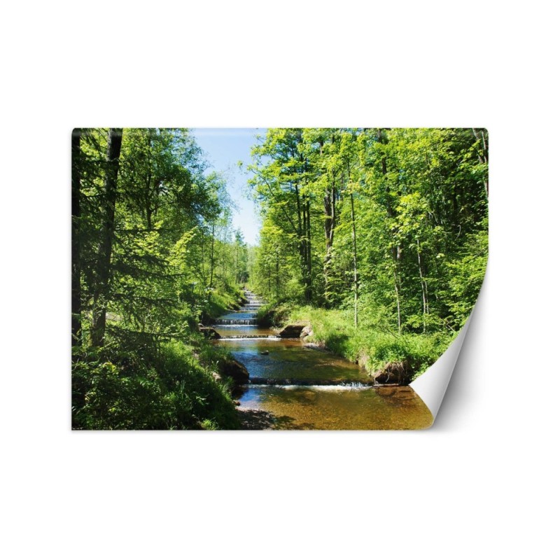 Inspirujące fototapety - Górski potok las natura | FEEBY