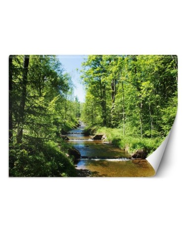 Inspirational wall mural - Mountain stream forest nature | FEEBY