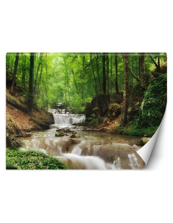 Najmodniejsze fototapety - Górski potok las natura | FEEBY