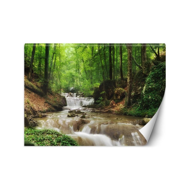 Najmodniejsze fototapety - Górski potok las natura | FEEBY
