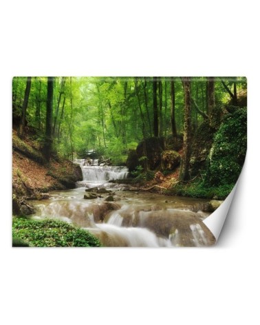 The most fashionable wall murals - Mountain stream forest nature | FEEBY