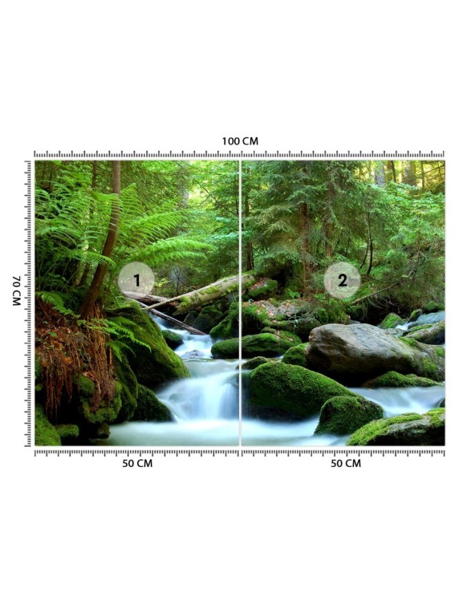 Oryginalne fototapety na ścianę - Potok górski w lesie | FEEBY