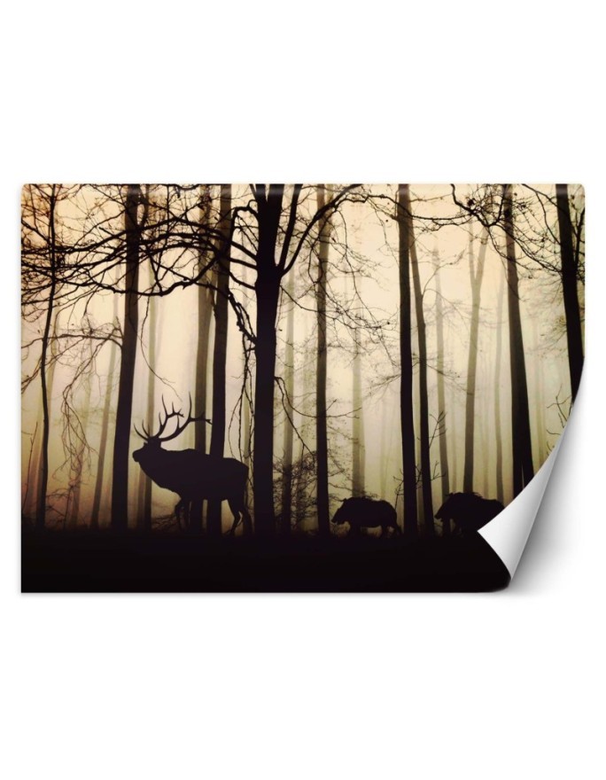 Fototapeta flizelinowa ze zdjęcia - Zwierzęta w lesie | FEEBY