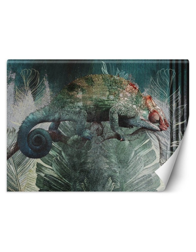 Egzotyczne fototapety - Kameleon tropikalny las natura | FEEBY