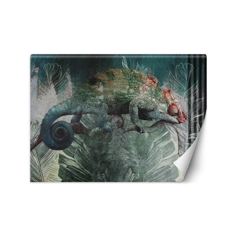 Egzotyczne fototapety - Kameleon tropikalny las natura | FEEBY