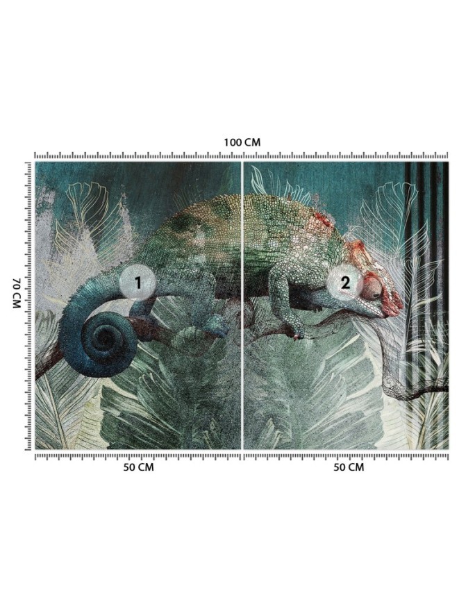 Egzotyczne fototapety - Kameleon tropikalny las natura | FEEBY